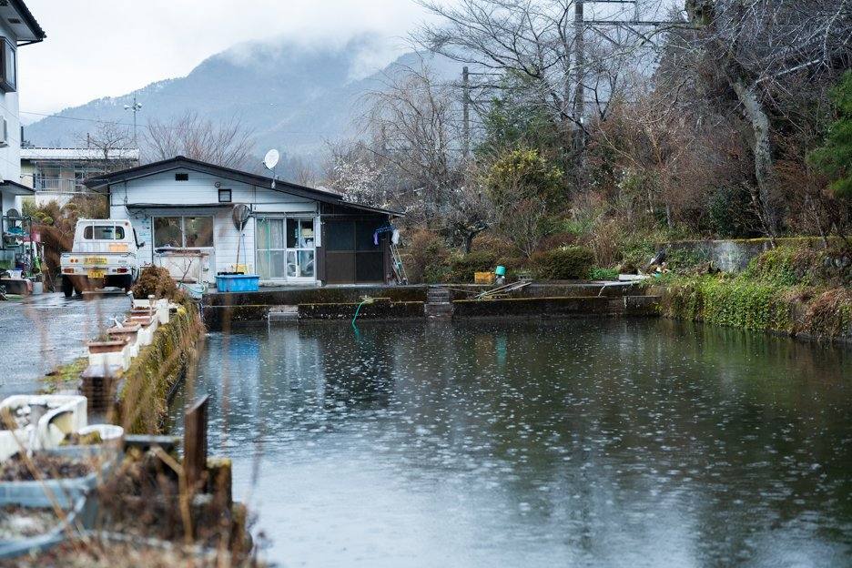 鬼怒川のほとりの遠藤鯉店