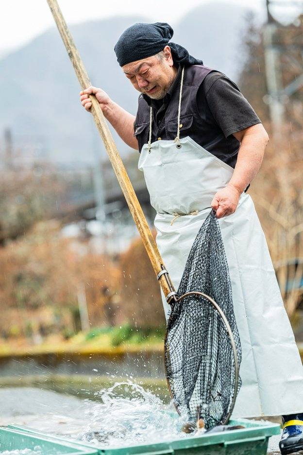清流から丁寧に鯉を掬う